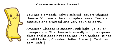 Amerikanischer Käse